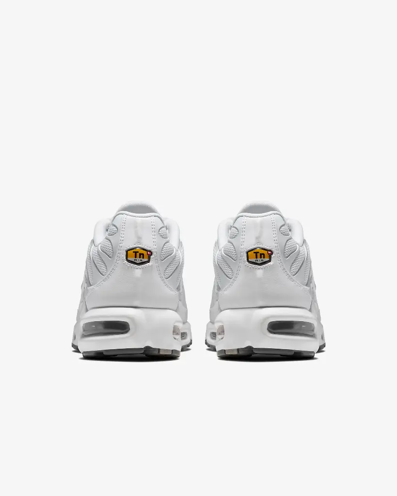 AIR+MAX+PLUS (7).webp