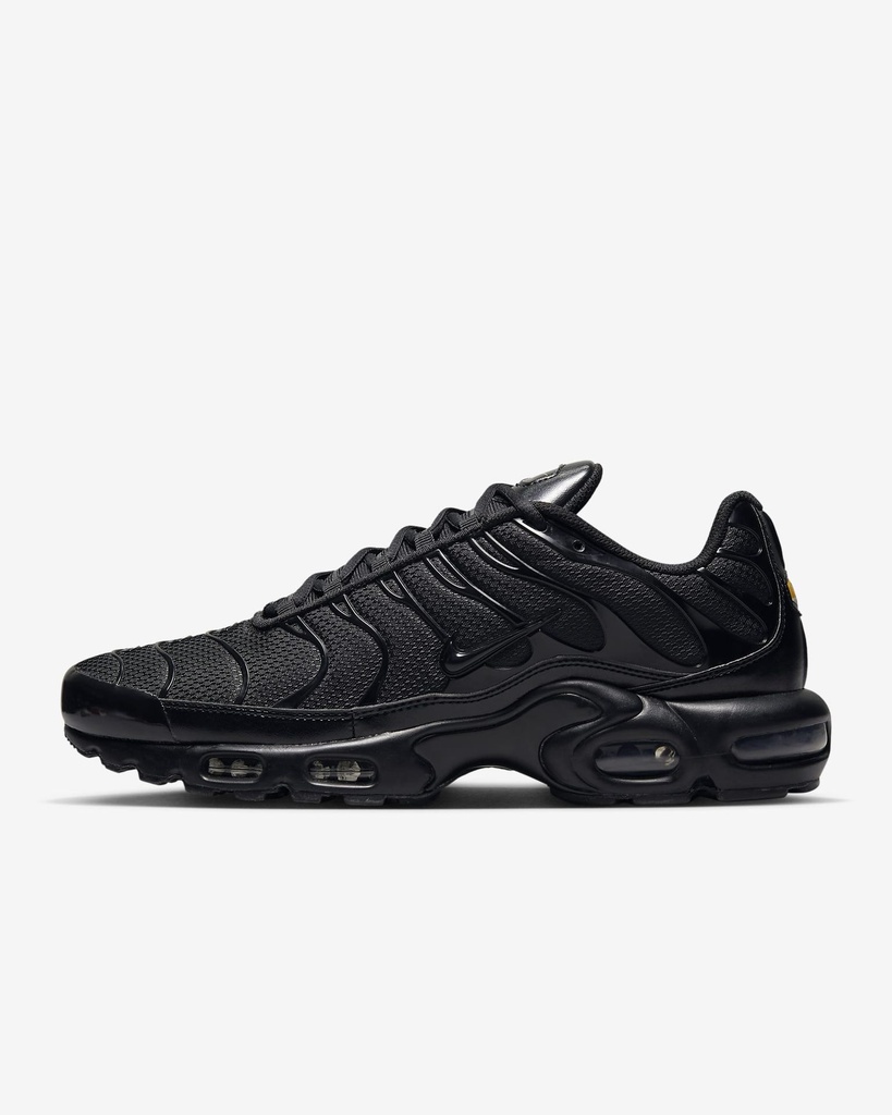 Nike Air Max Plus Chaussure pour homme